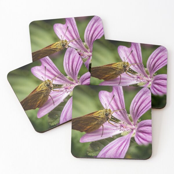 Item preview, Skipper on a Mallow — Butterfly Macro Portrait designed and sold by Rabee Khalil Photography.