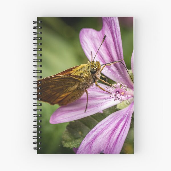 Item preview, Skipper on a Mallow — Butterfly Macro Portrait designed and sold by Rabee Khalil Photography.