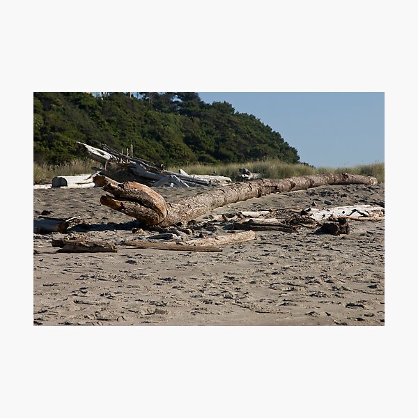 Item preview, Driftwood Wyrm designed and sold by Maya McCool.