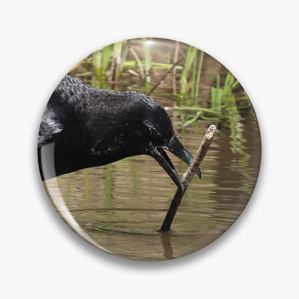 Item preview, American Crow maneuvering a stick designed and sold by lisavonbiela.