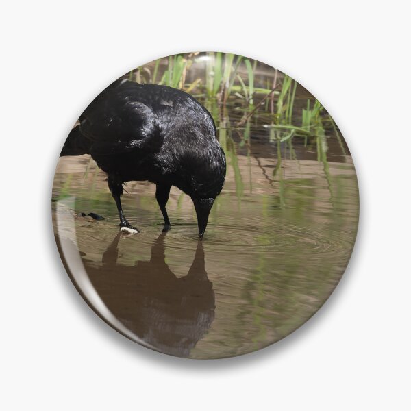 Item preview, American Crow contemplating its reflection designed and sold by lisavonbiela.