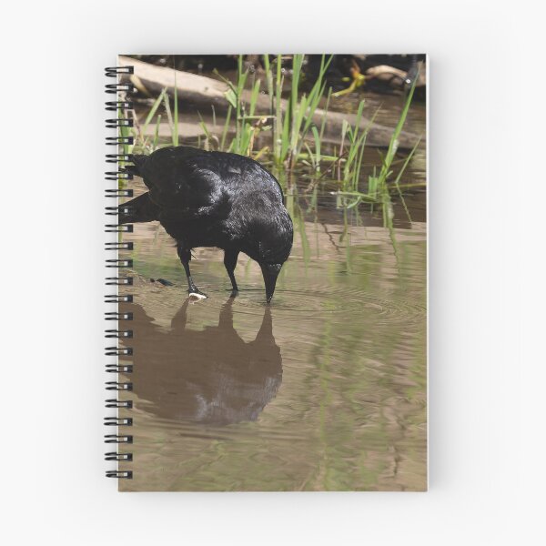 Item preview, American Crow contemplating its reflection designed and sold by lisavonbiela.