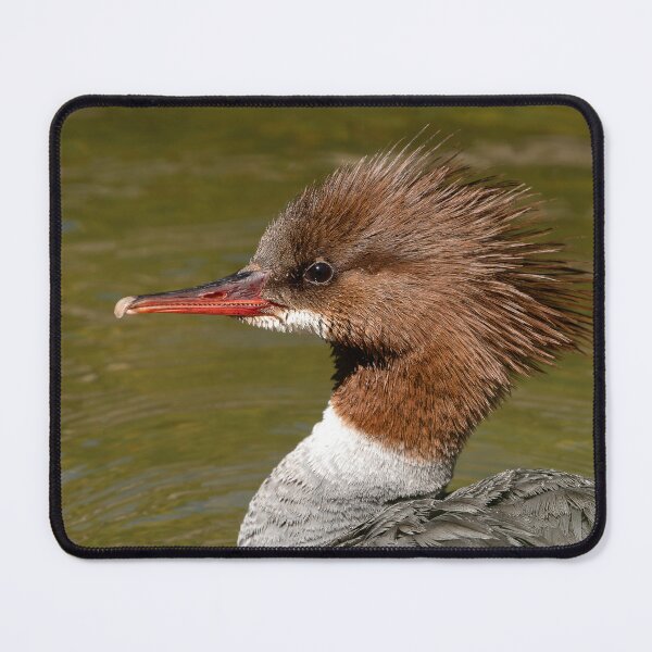 Item preview, Close up profile of female common merganser designed and sold by lisavonbiela.