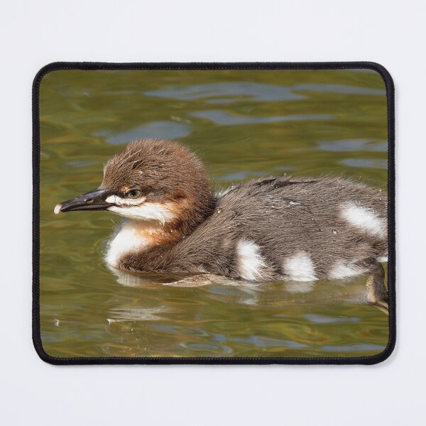 Item preview, Baby common merganser duck swimming with foot visible designed and sold by lisavonbiela.