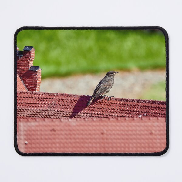 Item preview, Possible Redstart designed and sold by Eidetic Photos.
