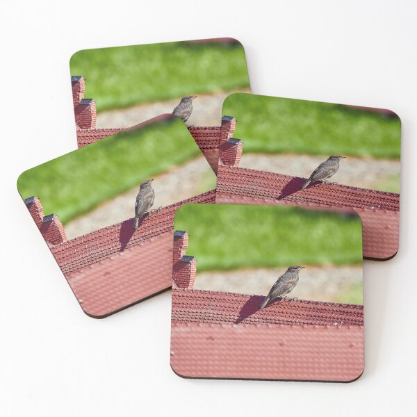 Item preview, Possible Redstart designed and sold by Eidetic Photos.