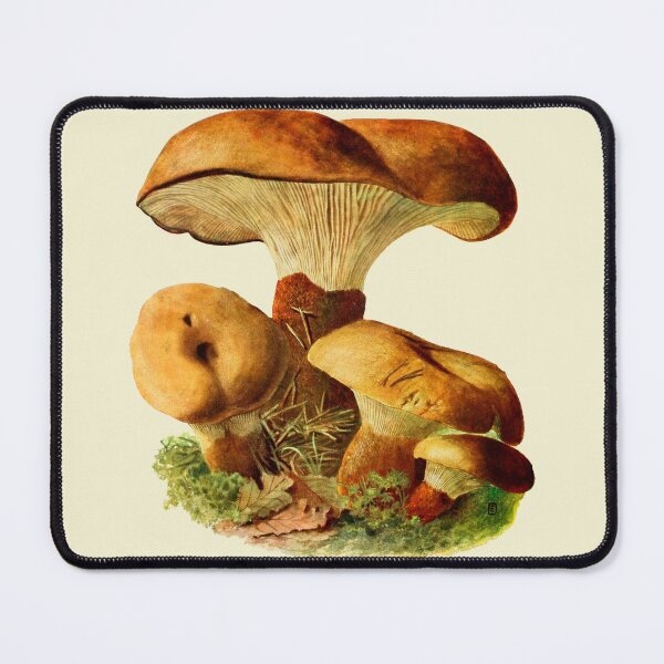 Item preview, vintage mushrooms designed and sold by okapia concolor.