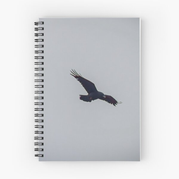 Item preview, Crow in Flight Against a Grey Sky designed and sold by LueNoir.