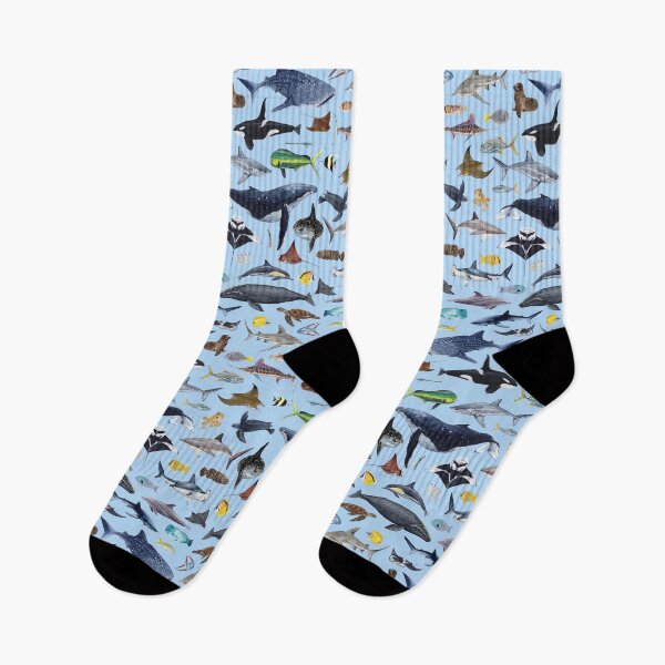 Item preview, MARINE LIFE OF LOS CABOS (light blue) designed and sold by BEATRIZ ABAITUA.