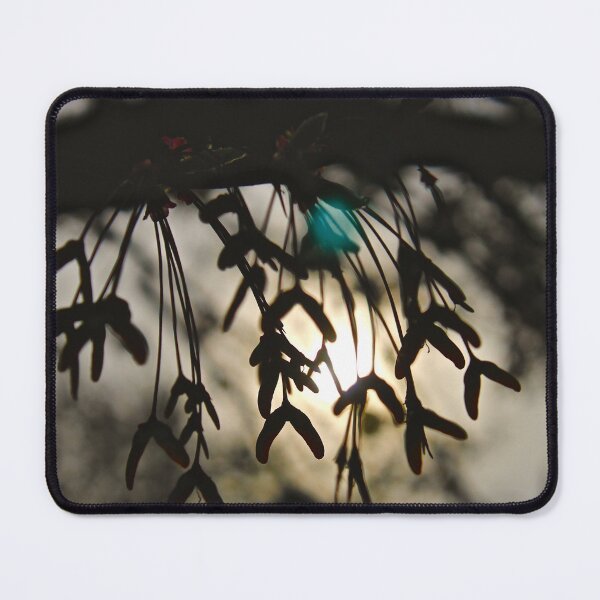 Item preview, Seed Pod Sunset designed and sold by Photos By Fotini.