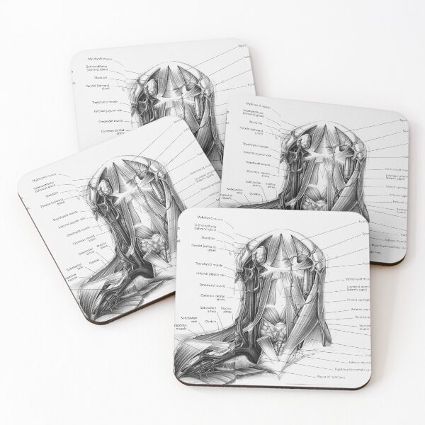 Item preview, anatomical drawing designed and sold by Cedartown.