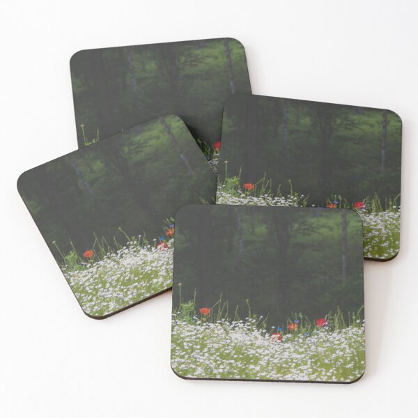 Item preview, Enchanted Daisy Meadow: Dark Forest Wildflowers Photo designed and sold by Apex_Visuals.