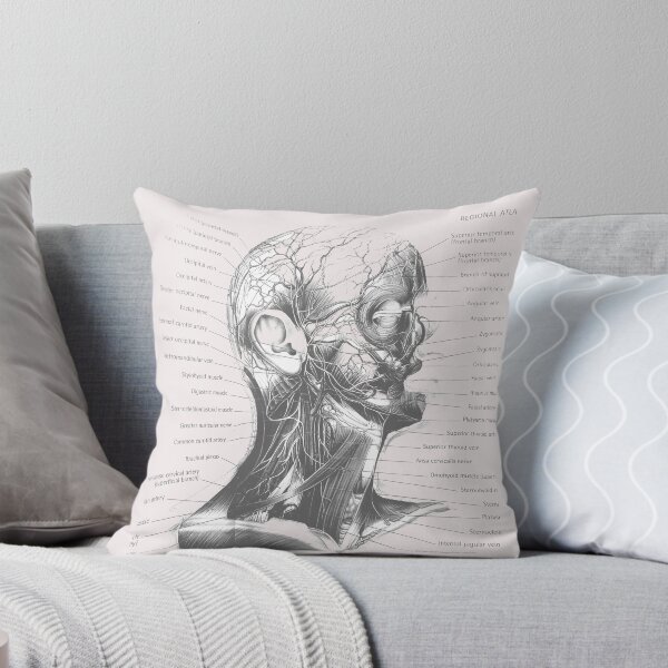 Item preview, anatomical muscles designed and sold by Cedartown.