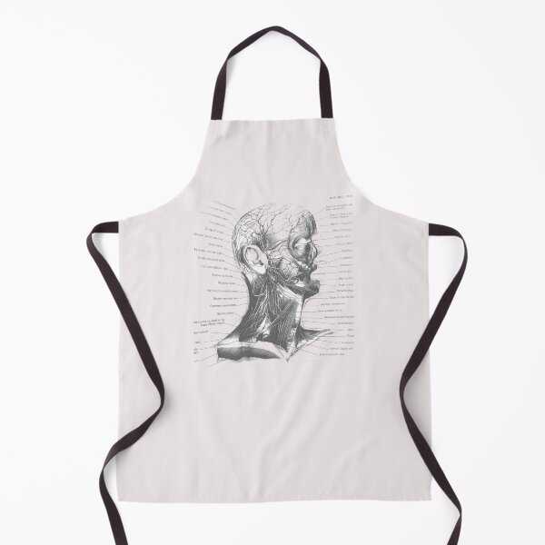 Item preview, anatomical muscles designed and sold by Cedartown.