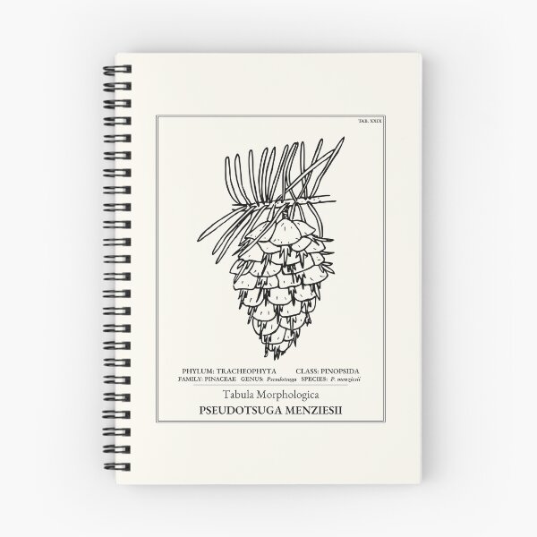 Item preview, Douglas Fir Cone Botanical Art designed and sold by NuvoraNest.