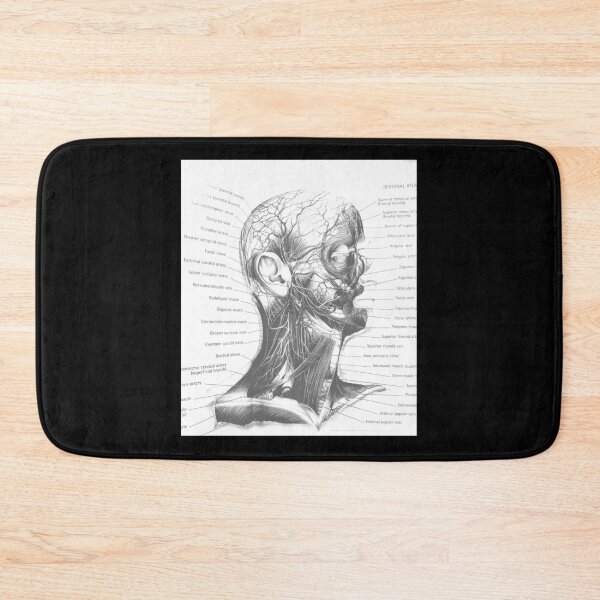 Item preview, anatomical drawing designed and sold by Cedartown.