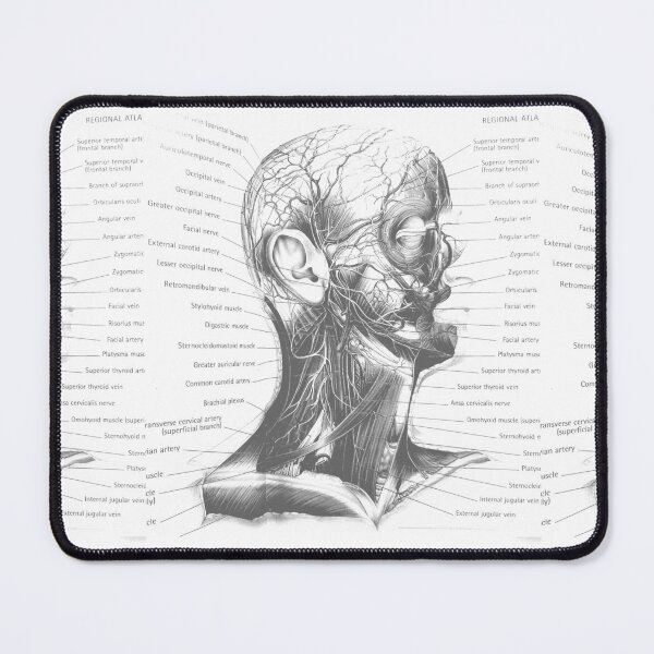 Item preview, anatomical drawing designed and sold by Cedartown.