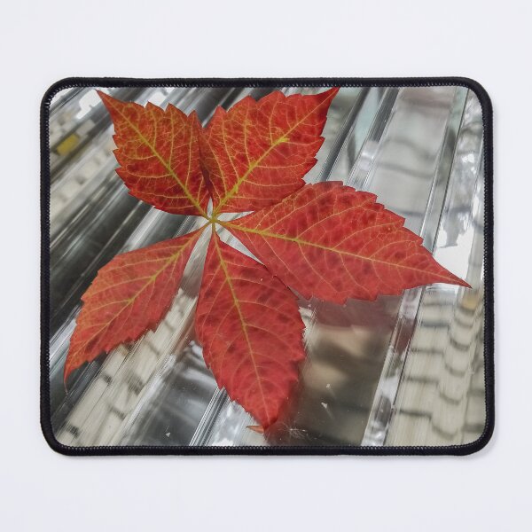Item preview, Virginia creeper designed and sold by OddLilFox.