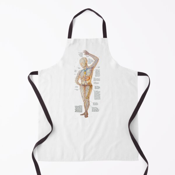 Item preview, anatomical drawing of a lymphoid system designed and sold by Cedartown.