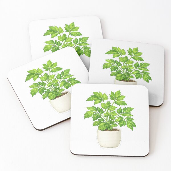 Item preview, Ashitaba Plant Minimalist in White Pot designed and sold by scicilysimonee.