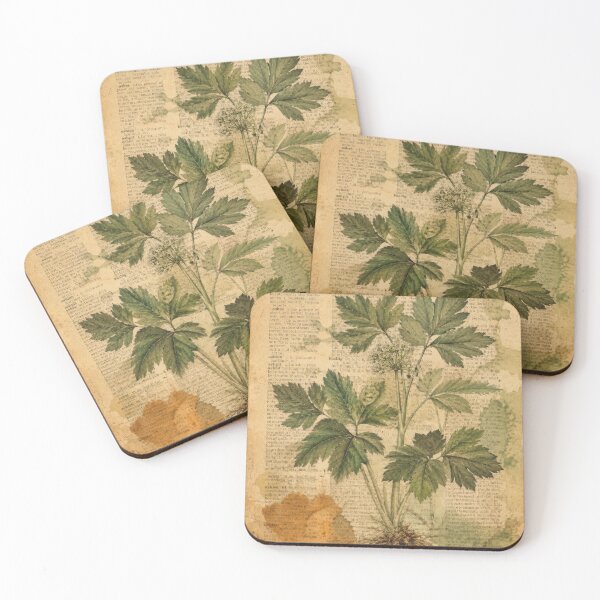 Item preview, Vintage Botanical Ashitaba Plant designed and sold by scicilysimonee.