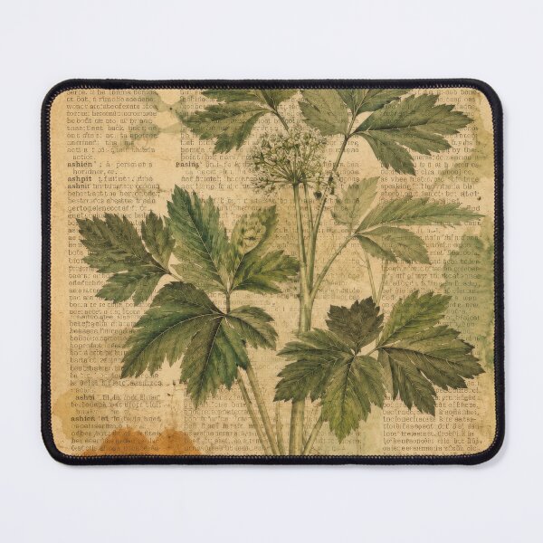 Item preview, Vintage Botanical Ashitaba Plant designed and sold by scicilysimonee.