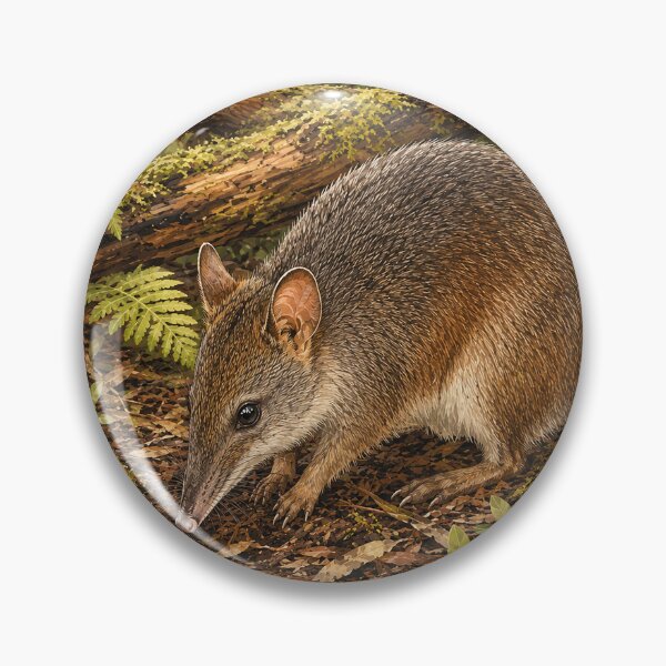 Item preview, Long-Nosed Bandicoot in Forest Litter designed and sold by Pixel Junkies Studio.