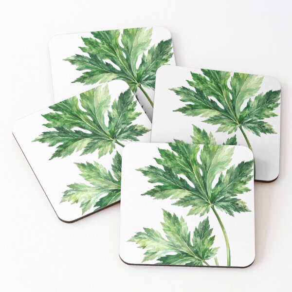 Item preview, Ashitaba Botanical Greenery designed and sold by scicilysimonee.