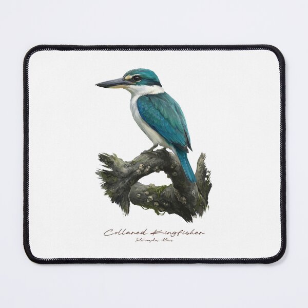 Item preview, Collared Kingfisher on Mangrove Root designed and sold by Takeda-art.