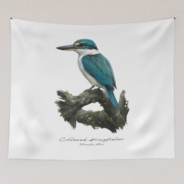 Item preview, Collared Kingfisher on Mangrove Root designed and sold by Takeda-art.