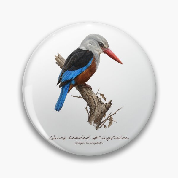 Item preview, Grey-headed Kingfisher on Branch designed and sold by Takeda-art.