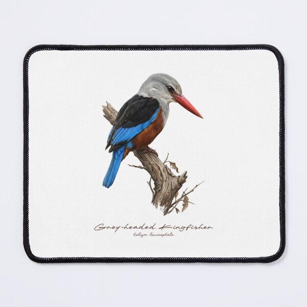 Item preview, Grey-headed Kingfisher on Branch designed and sold by Takeda-art.