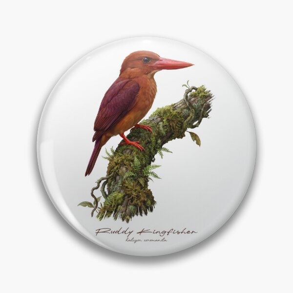 Item preview, Ruddy Kingfisher on Mossy Branch designed and sold by Takeda-art.