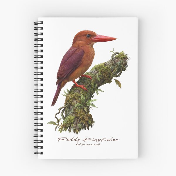 Item preview, Ruddy Kingfisher on Mossy Branch designed and sold by Takeda-art.