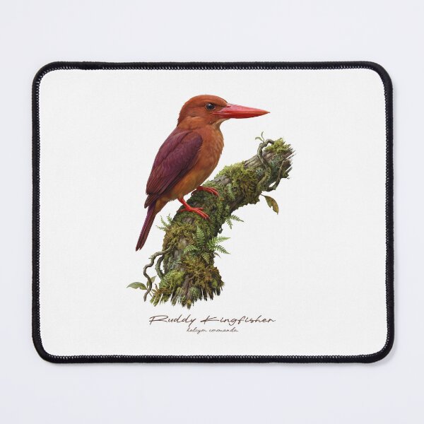 Item preview, Ruddy Kingfisher on Mossy Branch designed and sold by Takeda-art.