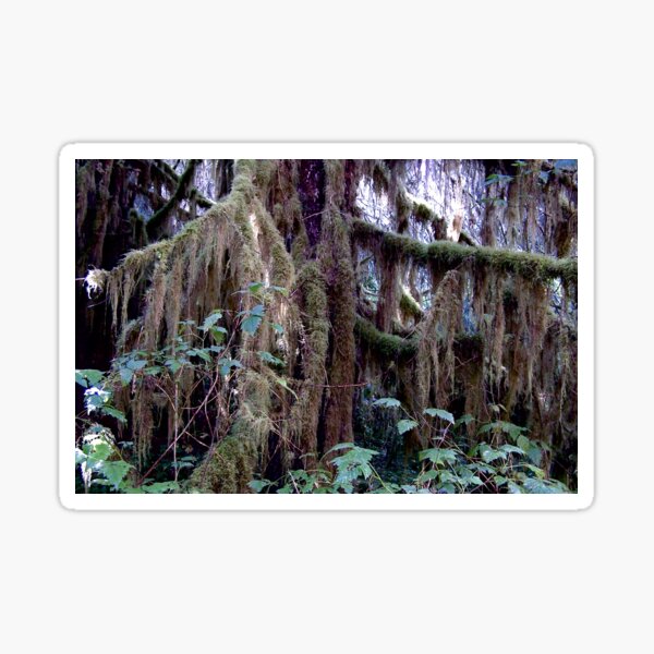 Item preview, Spanish moss  designed and sold by Nancy Richard.