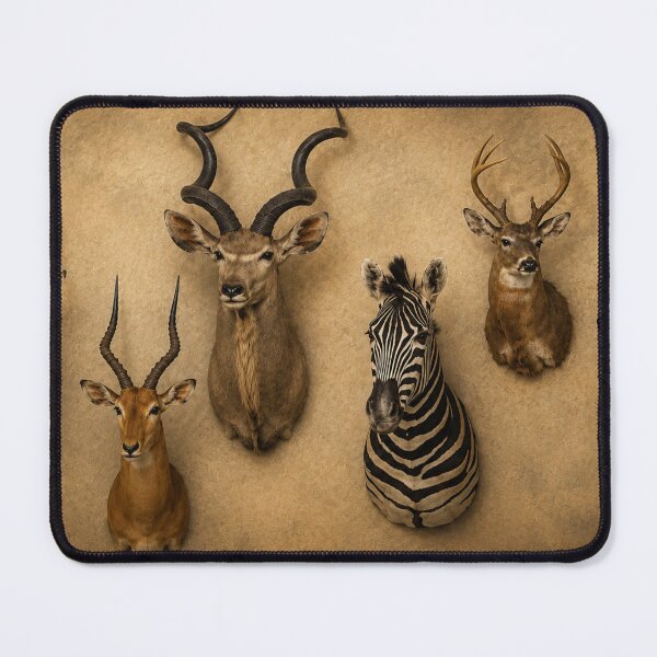 Item preview, Collector's Wall designed and sold by Natrual0903.