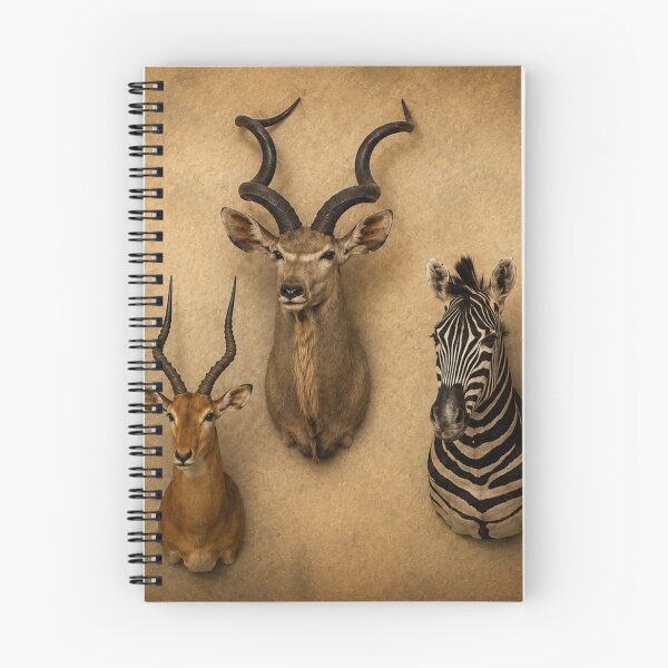 Item preview, Collector's Wall designed and sold by Natrual0903.