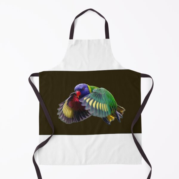 Item preview, Rainbow Lorikeet in Flight, black background designed and sold by BirdsAlive.