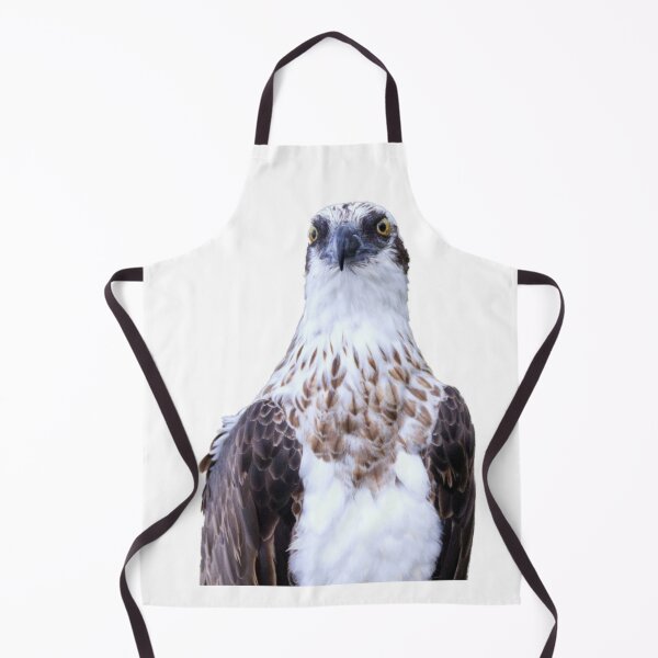 Item preview, Osprey Watching, no background designed and sold by BirdsAlive.