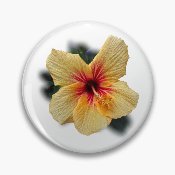 Item preview, Hibiscus designed and sold by indiafrankk.