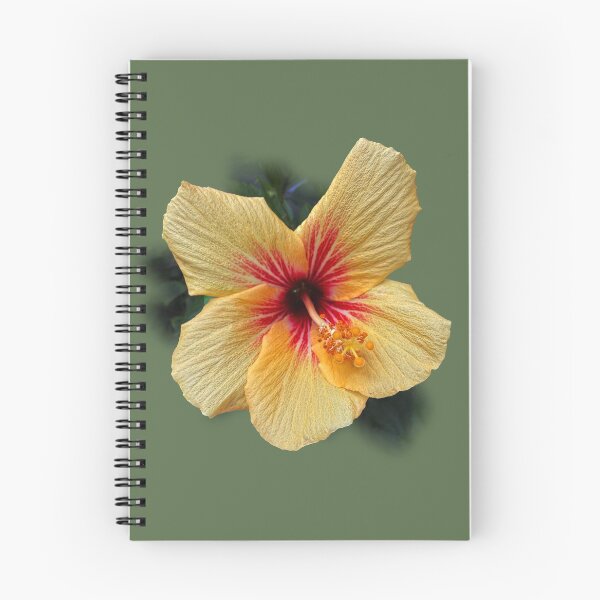 Item preview, Hibiscus designed and sold by indiafrankk.