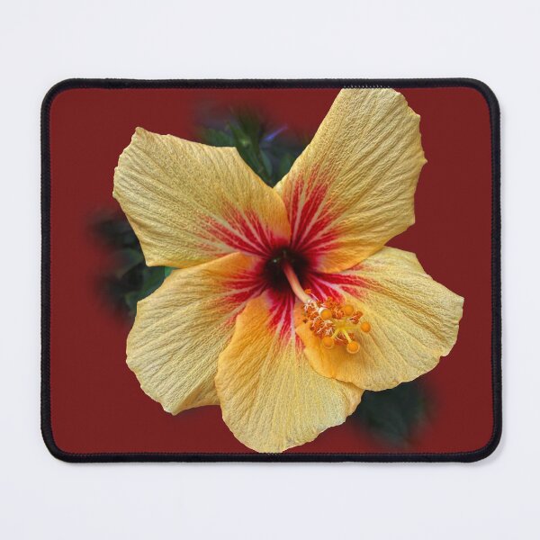 Item preview, Hibiscus designed and sold by indiafrankk.