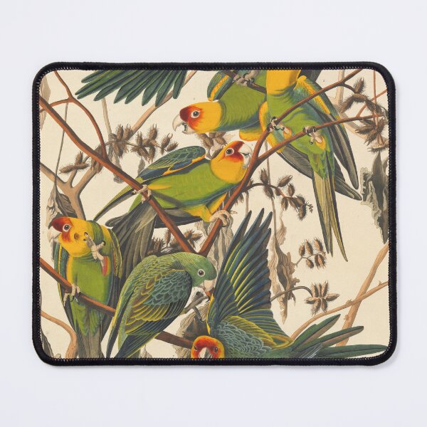 Item preview, THE YELLOW PARROT GROUP designed and sold by THE GOOD FIND.