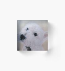 Bonzo Acrylic Block