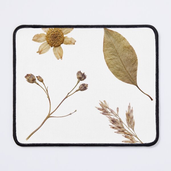Item preview, Pressed Botanicals Herbarium Specimen Dried Flower Flat Lay designed and sold by bosamji.