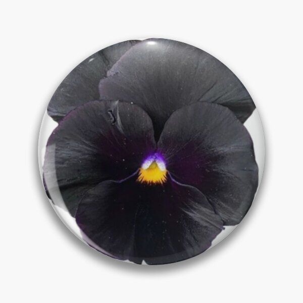 Item preview, Black Pansy Flower Graphic designed and sold by Briarpatch Designs.