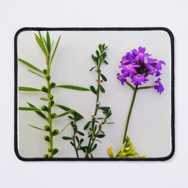 Item preview, Plant study time  designed and sold by sonamkumari333.