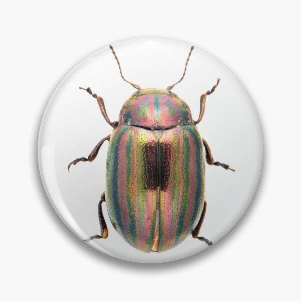 Item preview, Shiny Beetle Bug Graphic designed and sold by Briarpatch Designs.
