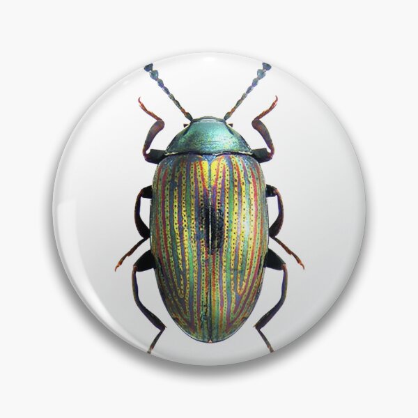 Item preview, Shiny Beetle Bug Graphic designed and sold by Briarpatch Designs.